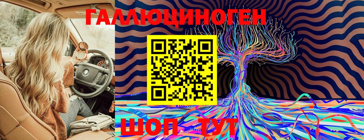 Галлюциногенные грибы Cubensis Хасавюрт